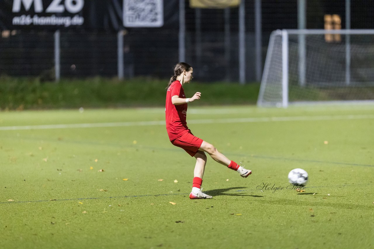 Bild 313 - wBJ Eimsbuettler TV - Hamburger SV : Ergebnis: 1:2